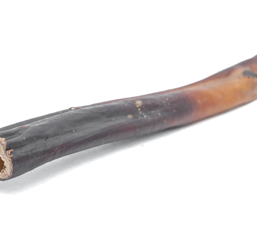10-12 Inch Collagen Wrapped in Pizzle