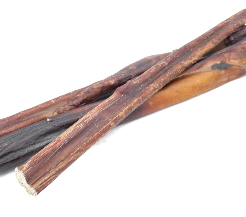 10-12 Inch Collagen Wrapped in Pizzle