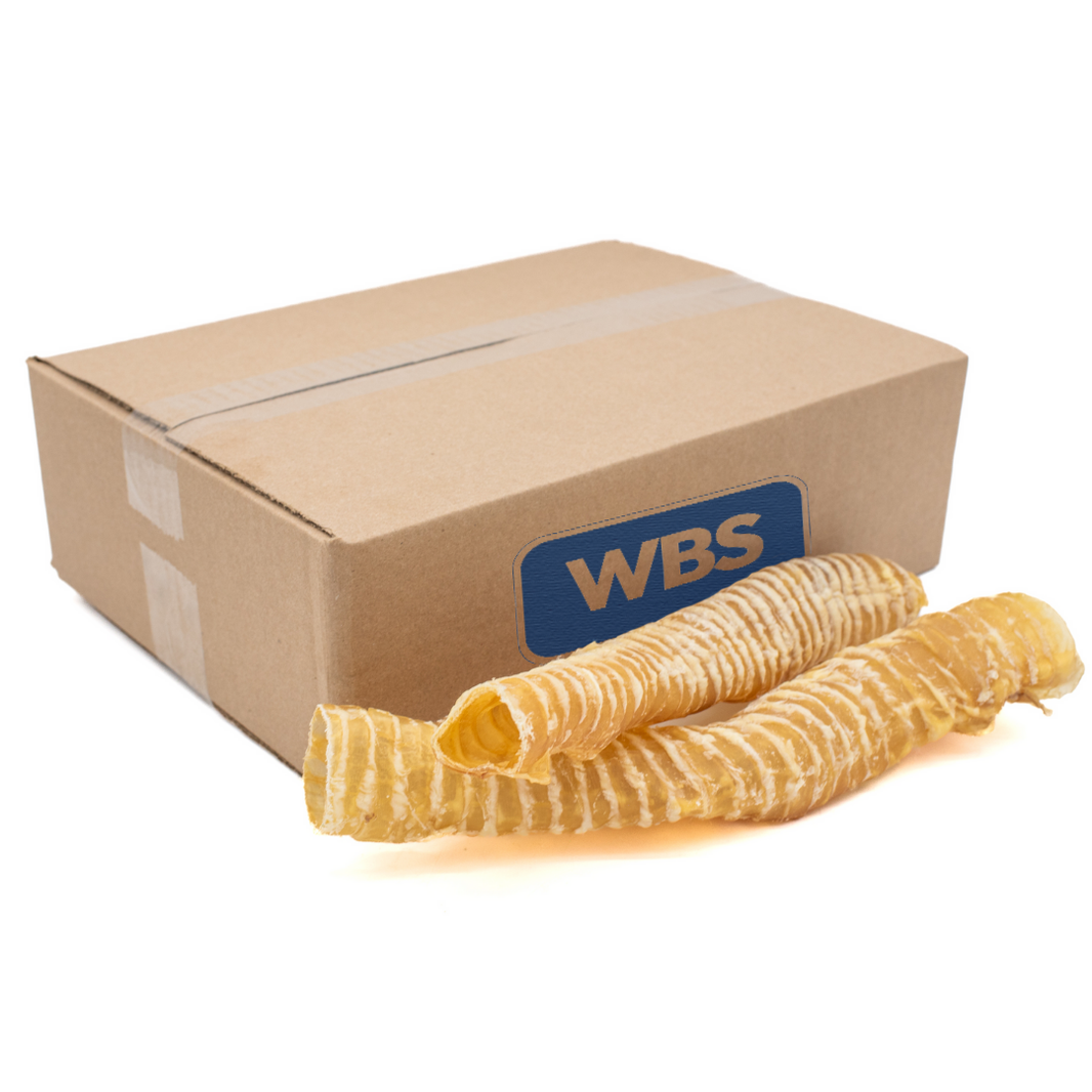 12 Inch Beef Trachea