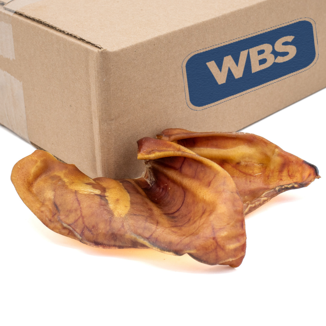 Natural Pig Ear