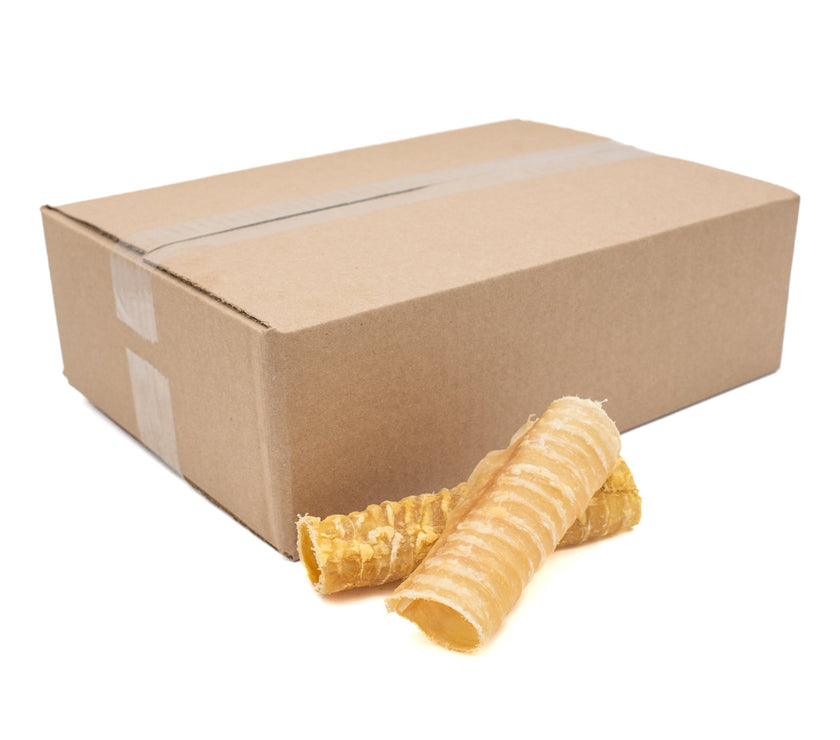 6 Inch Beef Trachea