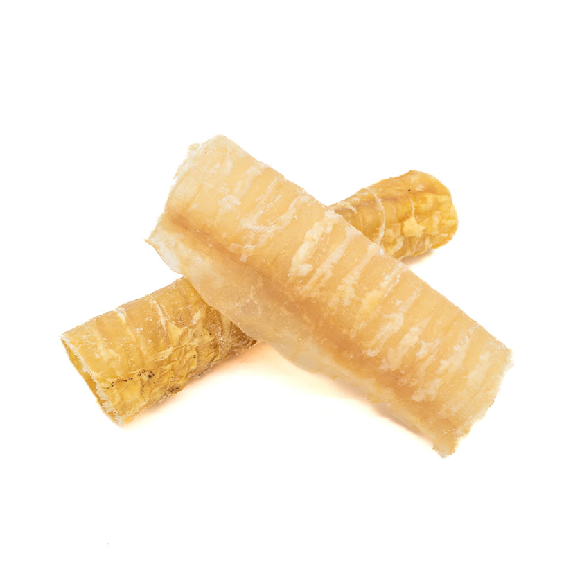 6 Inch Beef Trachea