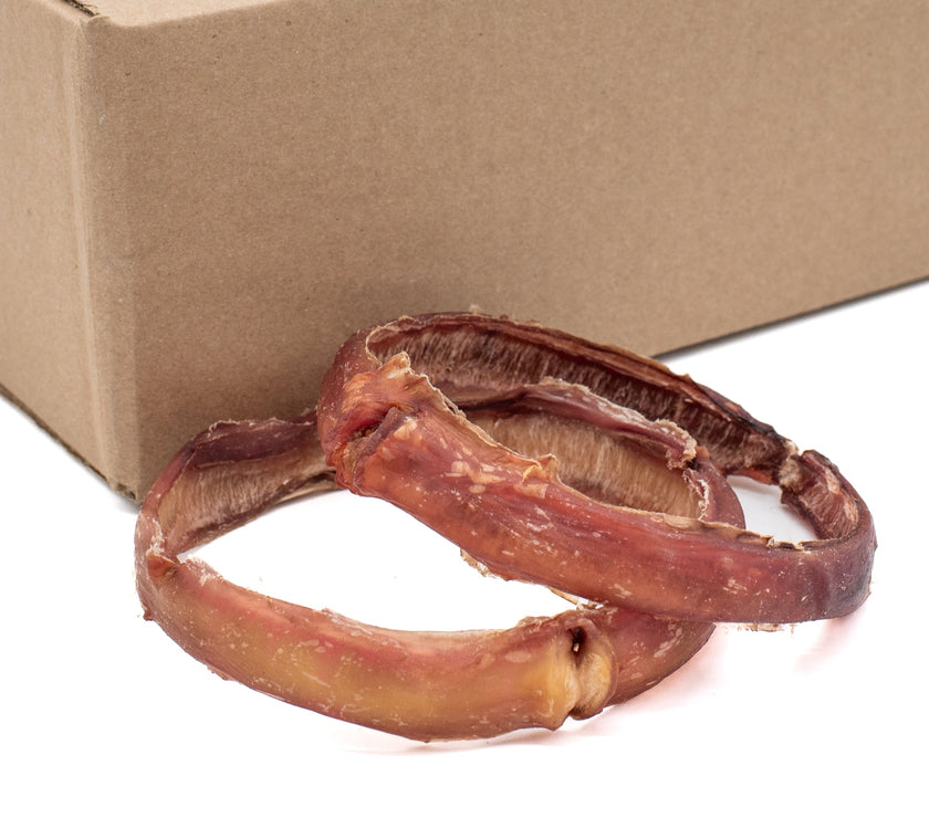 Bully Stick Ring