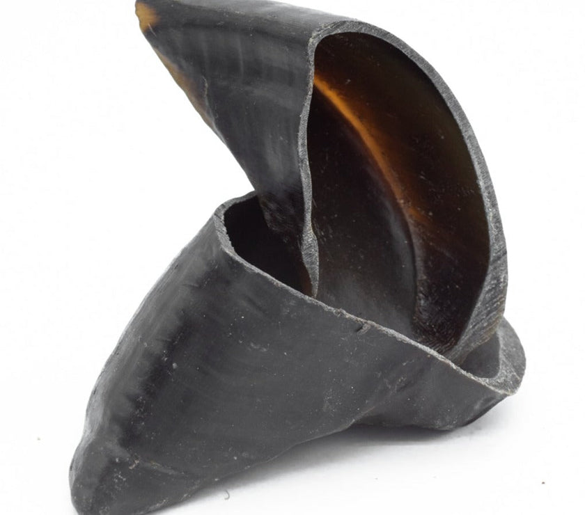 Cow Hooves