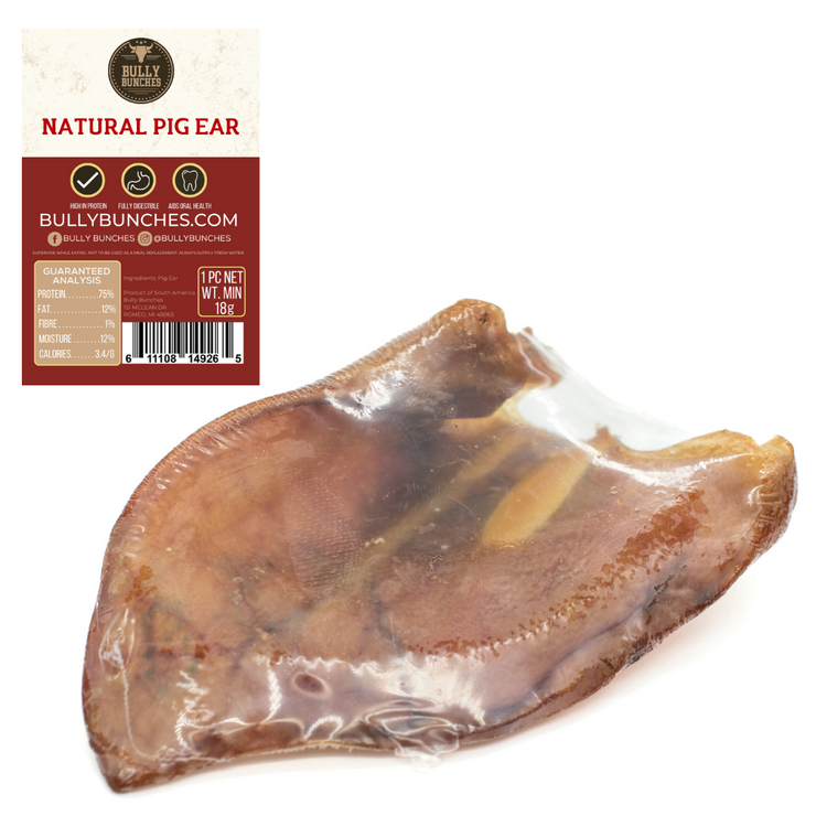 Pig Ear