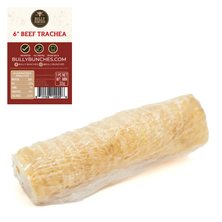 6 Inch Beef Trachea